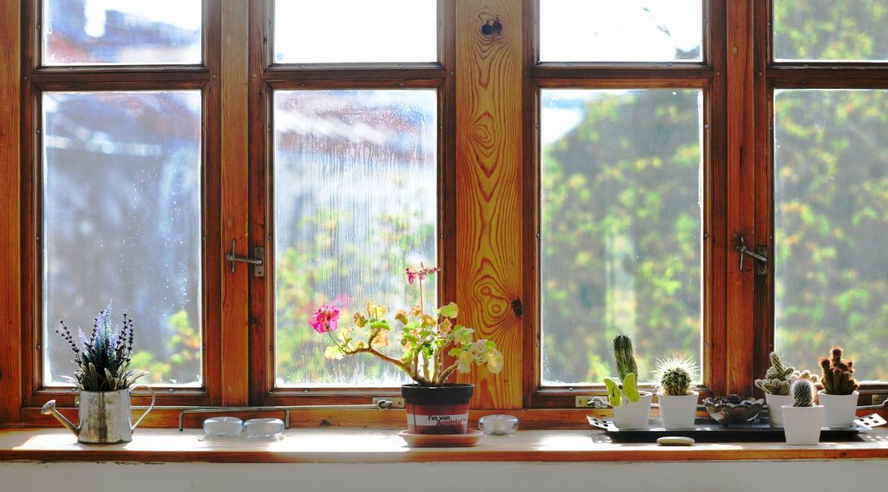 Vienna'S Most Charming Home Kültér fotó